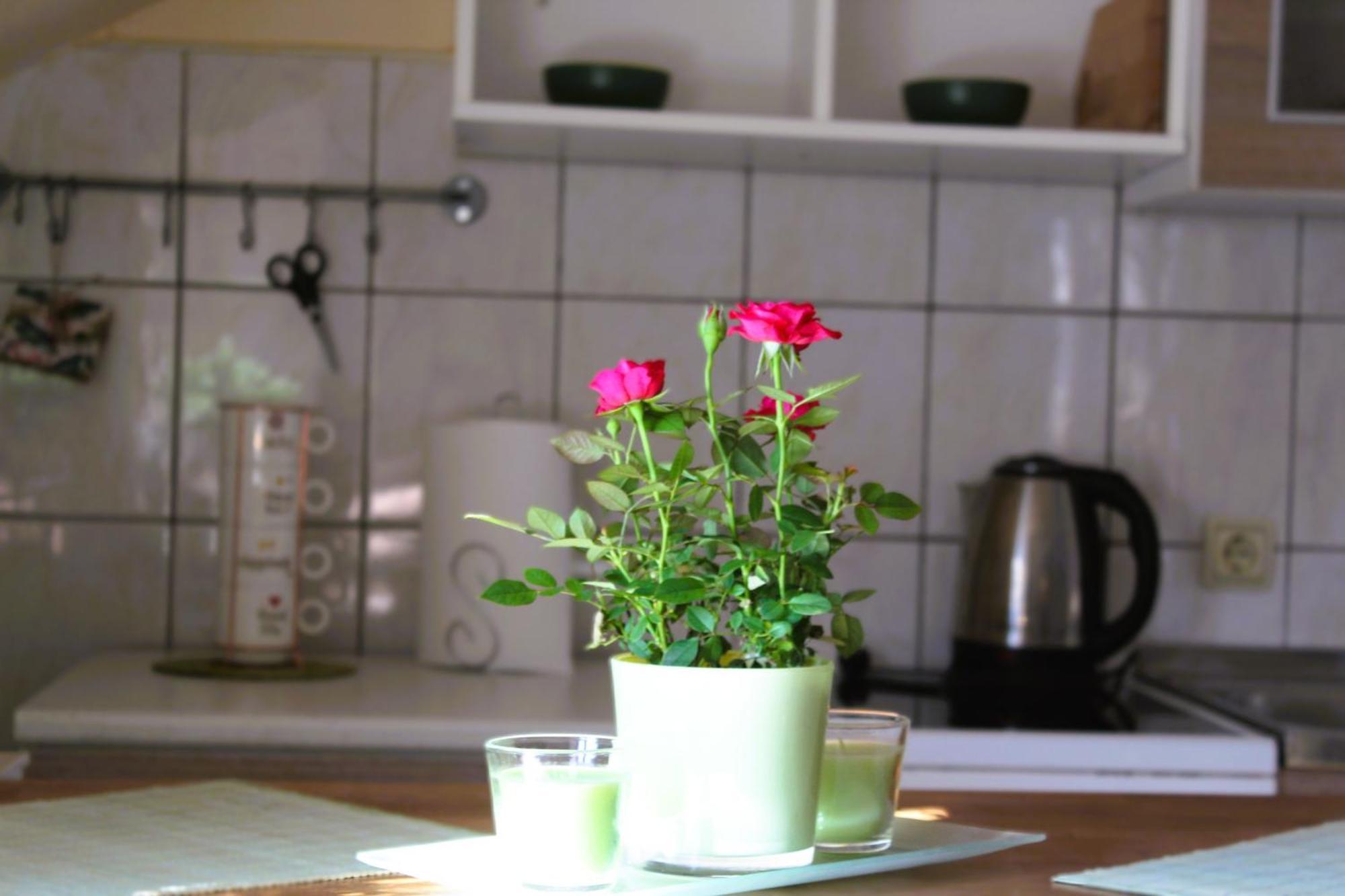 Bihać Svila Apartmani מראה חיצוני תמונה